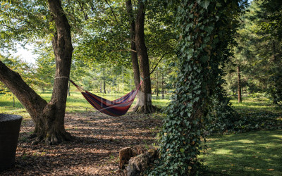 Business for sale Commercial Telavi Kakheti