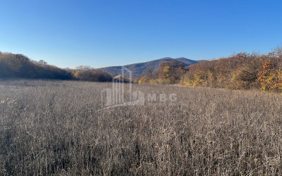 Продается Земля Базалети Душети Мцхета   Мтианети