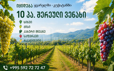 იყიდება სავენახე - საშატოე მიწის ნაკვეთი კუჭატანში, ყვარელი