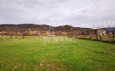 For-Sale-Land-Dzalisi-Mtskheta-Mtskheta---Mtianeti