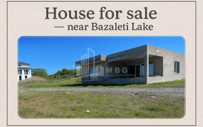 For Sale House Villa Bazaleti Dusheti Mtskheta   Mtianeti