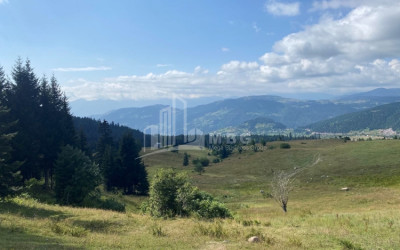 For Sale Country Land, in Dioknisi