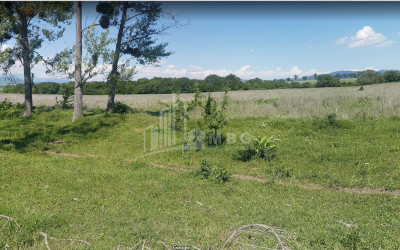 For Sale Country Land, in Village Baga