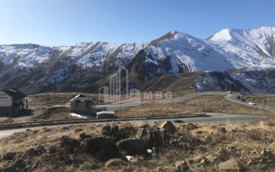 For Sale Land Akhali Gudauri Kazbegi Mtskheta   Mtianeti