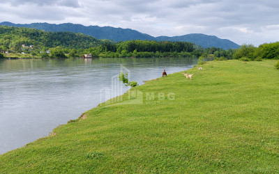 For Sale Orchards Land In Abasha