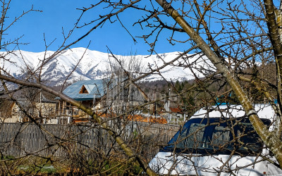 For Sale Country Land In Andesite, Borjomi