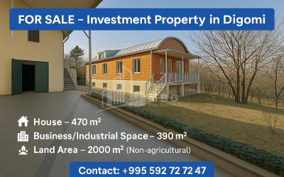 For Sale Commercial Village Dighomi Saburtalo District Tbilisi