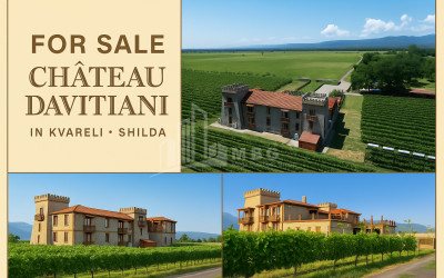 For Sale Commercial Kvareli City Kvareli Kakheti