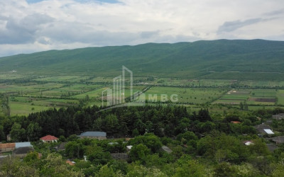 For Sale Land Okami Kaspi Shida Kartli