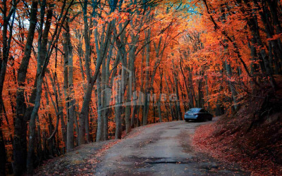 Продается Дом - Вилла В Коджори, Мтацминда Район