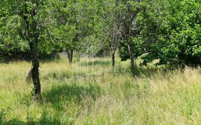 For Sale House - Villa, in Kvishkheti