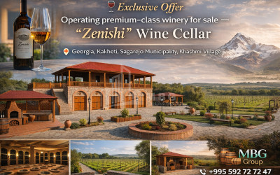 იყიდება-კომერციული-ფართი-ხაშმი-საგარეჯო-კახეთი