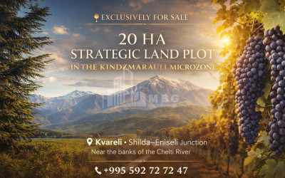 For Sale Vineyard - Chateau Land In Eniseli, Kvareli