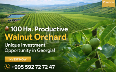 For-Sale-Land-Does-Kaspi-Shida-Kartli