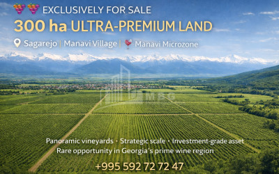 იყიდება სახლი აგარაკი ქვიშხეთი ხაშური შიდა ქართლი