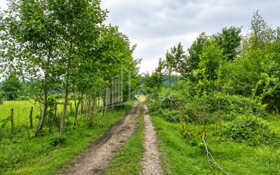 For Sale Orchards Land In Abasha