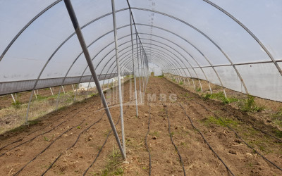 For Sale Land Vani Imereti