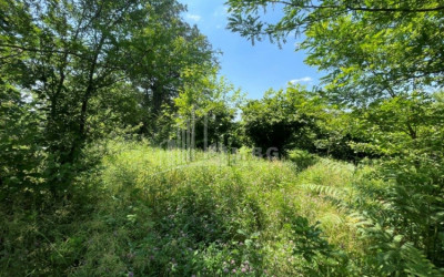 Продается Дачные Земля, в Сенакски