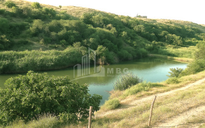 იყიდება მიწის ნაკვეთი გაჩიანი გარდაბნი ქვემო ქართლი