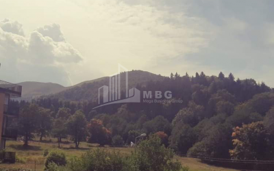 For Sale Flat, in Bakuriani