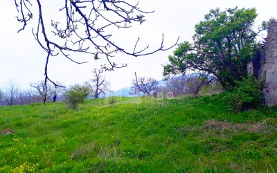 For Sale Residential Land, in Betania