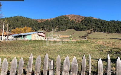 იყიდება სააგარაკე მიწის ნაკვეთი, წვირმი