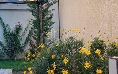 For Sale House - Villa, in Dighmis Chala