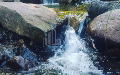 For Sale Agricultural Land, in Tsikhisjvari