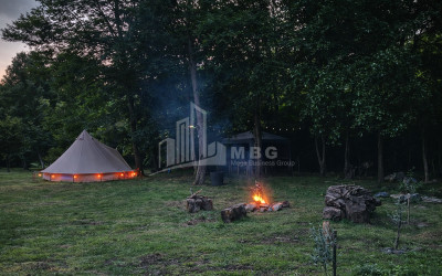 Business for sale Commercial Telavi Kakheti