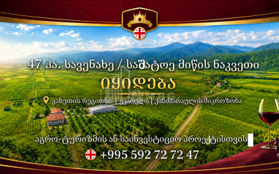 For Sale Construction   Investment Land In Kvareli