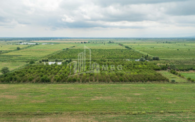 For Sale Land Kakheti