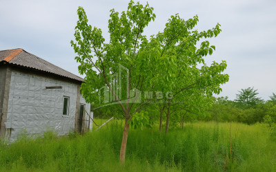 For Sale Land Kvemo Shukhuti Lanchkhuti Municipalities of Guria