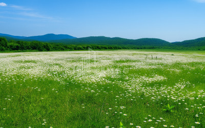 Продается Земля Гомбори Сагареджо Кахети
