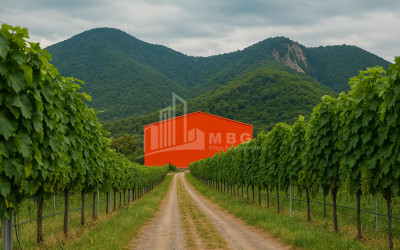 For-Sale-Land-Napareuli-Telavi-Kakheti