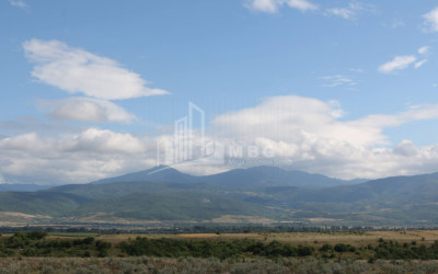 For Sale Country Land, in Borjomi