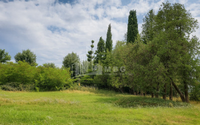 იყიდება კომერციული ფართი თელავი კახეთი