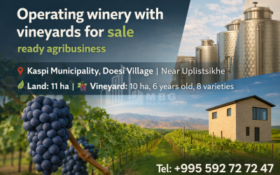 იყიდება-კომერციული-ფართი-დოესი-კასპი-შიდა-ქართლი