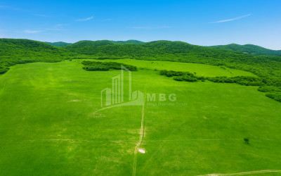 Продается Земля Гомбори Сагареджо Кахети