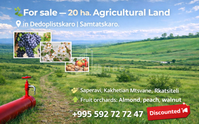 For Sale Food facility Commercial, in Velistsikhe