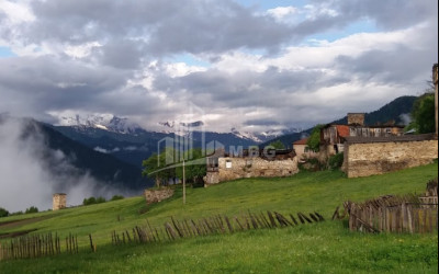 იყიდება სააგარაკე მიწის ნაკვეთი, წვირმი