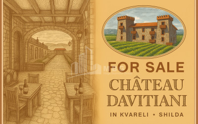 For Sale Commercial Kvareli City Kvareli Kakheti