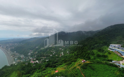 იყიდება კომერციული - არასასოფლო მიწის ნაკვეთი სარფში, ხელვაჩაური