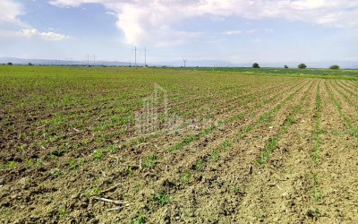 Продается Земля Марнеули Квемо Картли