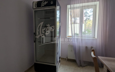 For Sale Commercial Akhmeta Kakheti