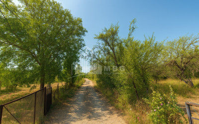 For Sale Land Trani Tianeti Mtskheta   Mtianeti