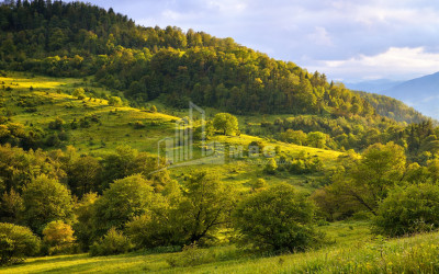 For Sale Land Zemo Gostibe Kaspi Shida Kartli