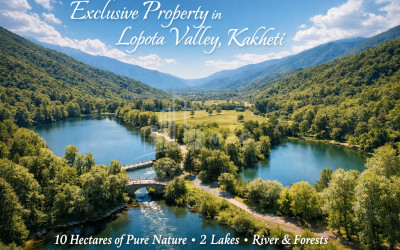 For Sale House Villa Sadgeri Borjomi Samtskhe   Javakheti