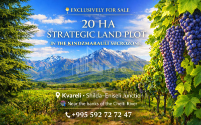 For Sale Vineyard - Chateau Land In Eniseli, Kvareli