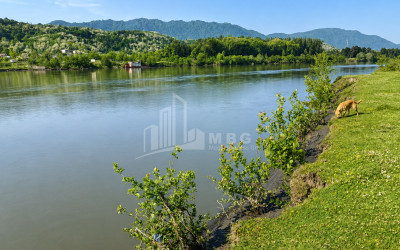 For Sale Orchards Land In Abasha