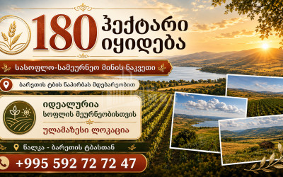 For Sale Agricultural Land In Tsalka